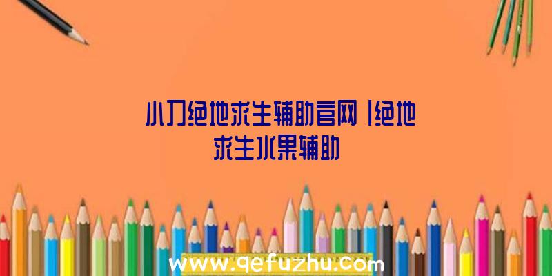 「小刀绝地求生辅助官网」|绝地求生水果辅助